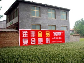 小金如何让墙体广告展现最大化效果