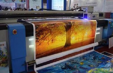 小金写真有哪些介质？