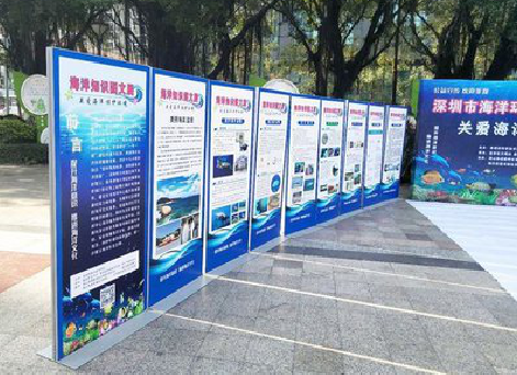 小金KT板的种类和知识。